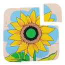 Montessori Materials The Evolution Process of Sunflower for Kids Early Learn