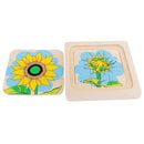 Montessori Materials The Evolution Process of Sunflower for Kids Early Learn
