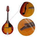 IRIN A Style 8 String Acoustic Mandolin Sunburst Spruce Music Instruments Beginners