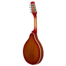 IRIN A Style 8 String Acoustic Mandolin Sunburst Spruce Music Instruments Beginners