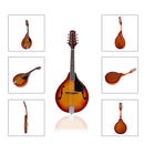 IRIN A Style 8 String Acoustic Mandolin Sunburst Spruce Music Instruments Beginners