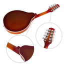 IRIN A Style 8 String Acoustic Mandolin Sunburst Spruce Music Instruments Beginners