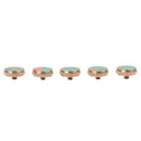 5 Piece Trumpet Valve Finger Buttons Repair Valve Cap Tool Accessory Collection