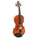 Full Size 4/4 Acoustic Violin Fiddle with Case Bow Rosin Stringed Instrument for Beginner Children