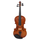 Full Size 4/4 Acoustic Violin Fiddle with Case Bow Rosin Stringed Instrument for Beginner Children