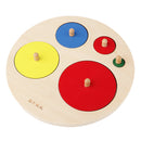 Montessori Geometry Insert Puzzles for Kids Shape Color Early Learning Toys