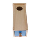 Montessori Mathematics Learning Wooden Toy Spherical Correspondence Box Gift