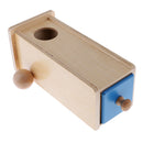 Montessori Mathematics Learning Wooden Toy Spherical Correspondence Box Gift