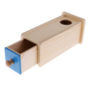 Montessori Mathematics Learning Wooden Toy Spherical Correspondence Box Gift