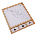 Set of Plant Parts Name Cards for Montessori Early Learning Educational Toys