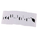 Set of Plant Parts Name Cards for Montessori Early Learning Educational Toys
