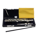 Cupronickel Tube Nickel Plated Piccolo with Leather Box Case Screwdriver for Orchestra Silver