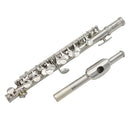 Cupronickel Tube Nickel Plated Piccolo with Leather Box Case Screwdriver for Orchestra Silver