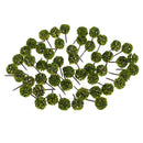 50pieces Model Ball Shaped Trees Train Garden Wargame Diorama 1:75 HO OO Scale Yellow Green