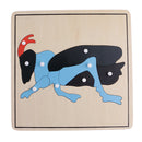 Montessori Zoology Material - 5 Animal Skeleton Puzzles Toy Gift for Kids