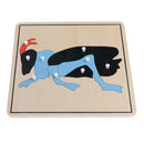 Montessori Zoology Material - 5 Animal Skeleton Puzzles Toy Gift for Kids