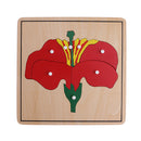 Montessori Botany Material 3 Plywood Plant Puzzles Toy Gift for Children