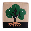 Montessori Botany Material 3 Plywood Plant Puzzles Toy Gift for Children