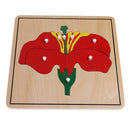Montessori Botany Material 3 Plywood Plant Puzzles Toy Gift for Children