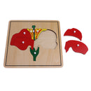 Montessori Botany Material 3 Plywood Plant Puzzles Toy Gift for Children