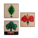 Montessori Botany Material 3 Plywood Plant Puzzles Toy Gift for Children
