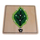 Montessori Botany Material 3 Plywood Plant Puzzles Toy Gift for Children