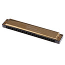 24 Holes Tremolo Harmonica C Key with Pouch Case for Music Learner Beginners Gold