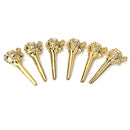 6pcs Gold Bridge Pins End Nails for Acoustic Folk Bass Guitar Strings Pegs