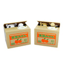 Cat Saving Box Cartoon Piggy Bank Steal Coin Bank Children Money Storage Box