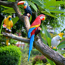 Collectible Animal Figurine Statue White Parrot for Home Garden Scenery DIY