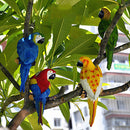Collectible Animal Figurine Statue White Parrot for Home Garden Scenery DIY