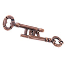 Key Lock Puzzle Classic Metal Brain Teaser IQ EQ Test Toys for Kids Adults Children Birthday Funny Gift