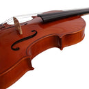 Maple Viola with Case String Bow Shoulder Rest Pad Resin Cleaning Cloth Set