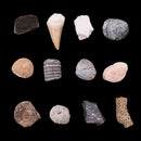 1 Pack Ancient Stone Natural Rocks Mineral Collection for Kids Science Learning Toys Birthday Gif