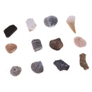 1 Pack Ancient Stone Natural Rocks Mineral Collection for Kids Science Learning Toys Birthday Gif
