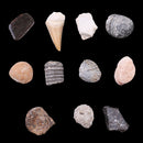 1 Pack Ancient Stone Natural Rocks Mineral Collection for Kids Science Learning Toys Birthday Gif