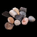1 Pack Ancient Stone Natural Rocks Mineral Collection for Kids Science Learning Toys Birthday Gif