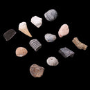 1 Pack Ancient Stone Natural Rocks Mineral Collection for Kids Science Learning Toys Birthday Gif