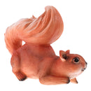 Collectible Realistic Squirrel Model Figure for Home Garden Tree Decorations