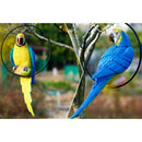 Realistic Resin Animal Parrot Model Ring for Home Garden Tree Hanging Decor