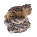 Realistic Mini Resin Crocodile Sculpture Statue with Stand for Home Office Desk Decoration Ornamen