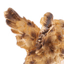 Miniature Cute Owl Sculpture Handicraft for Fairy Garden Yard Backyard Lawn Adornment Collectables