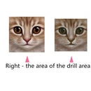 DIY 5D Cat Diamond Painting Cross Stitch for Home Wall Decoration
