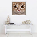 DIY 5D Cat Diamond Painting Cross Stitch for Home Wall Decoration