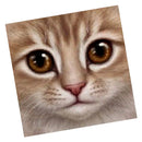 DIY 5D Cat Diamond Painting Cross Stitch for Home Wall Decoration