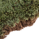 Sand Table Military Armor Lichen Moss Model Layout for 1/35 Scale Landscape
