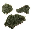 Sand Table Military Armor Lichen Moss Model Layout for 1/35 Scale Landscape