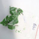 10pcs 1:150 Plastic Willow Trees Model Street Train Railway Scenery Layout N