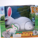 Plastic Electronic Rabbit Dolls Battery Simulation Animal Toy Figurine Children's Cute Toys Model Ornaments Xmas Gift