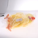 Mother Hen Laying Three Egg - Singing Dancing Plush Doll Toy Kids Birthday Gift